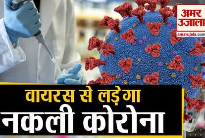 fake coronavirus will cure pandemic