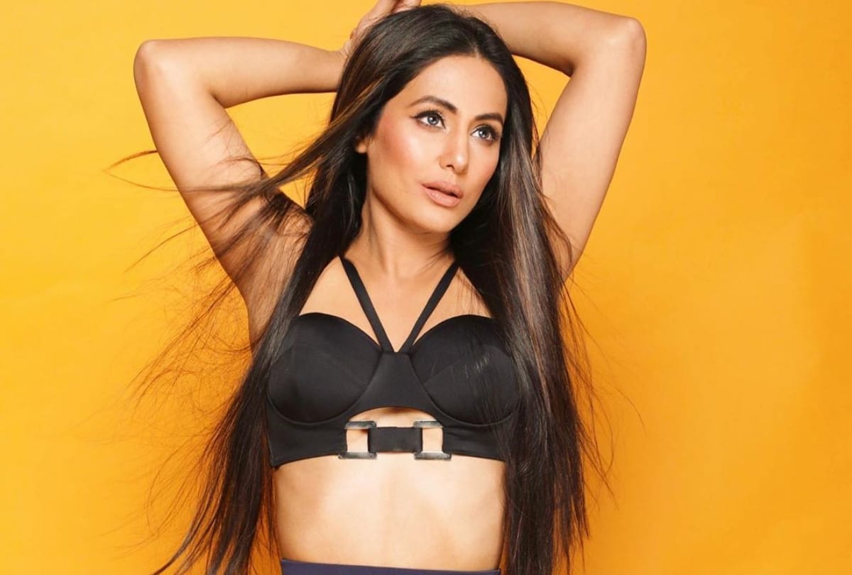 Television Actress Who Were Air Hostess Before Joining Tv Industry Deepika Hina Neha Akanksha Nandini