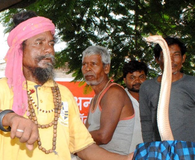 naagapanchamee: manaahee ke baavajood mandaakinee mein kiya snaan