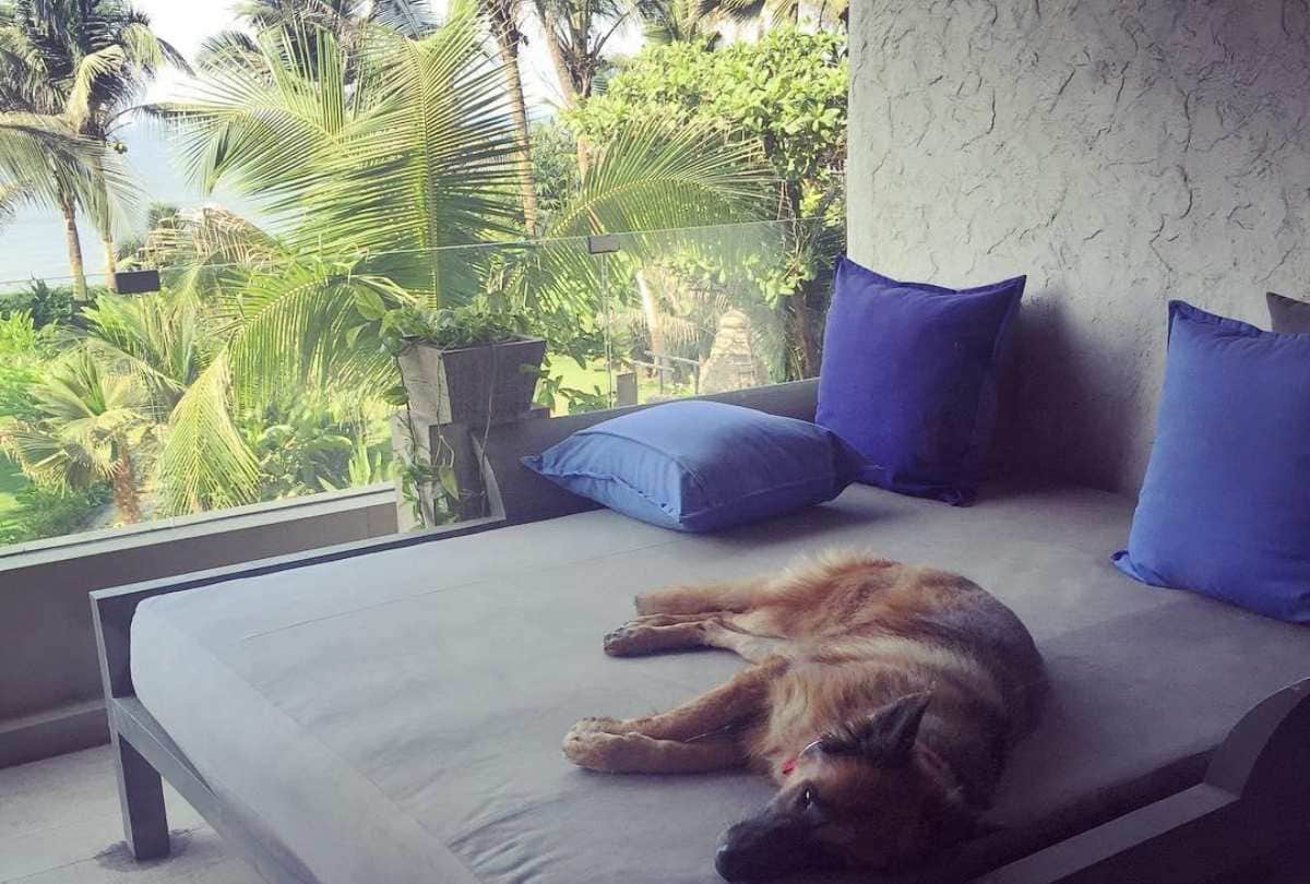 kareena kapoor anushka sharma katrina kaif bollywood celebrities their terrace and balcony here photos