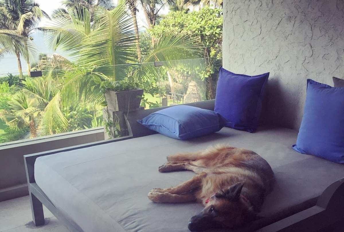kareena kapoor anushka sharma katrina kaif bollywood celebrities their terrace and balcony here photos