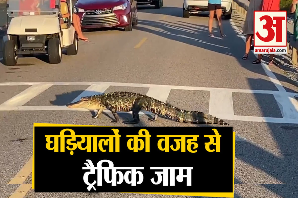 घड़ियाल
