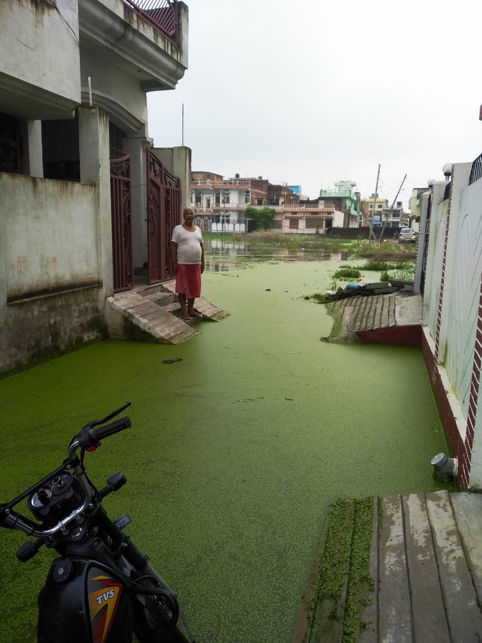 Tagore townspeople are helpless to pass life amid waterlogged water