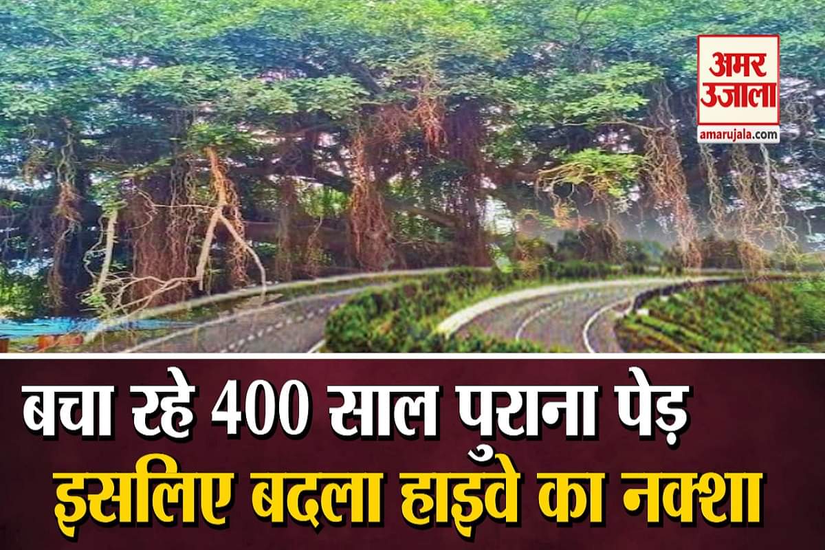 बरगद का पेड़ महाराष्ट्र