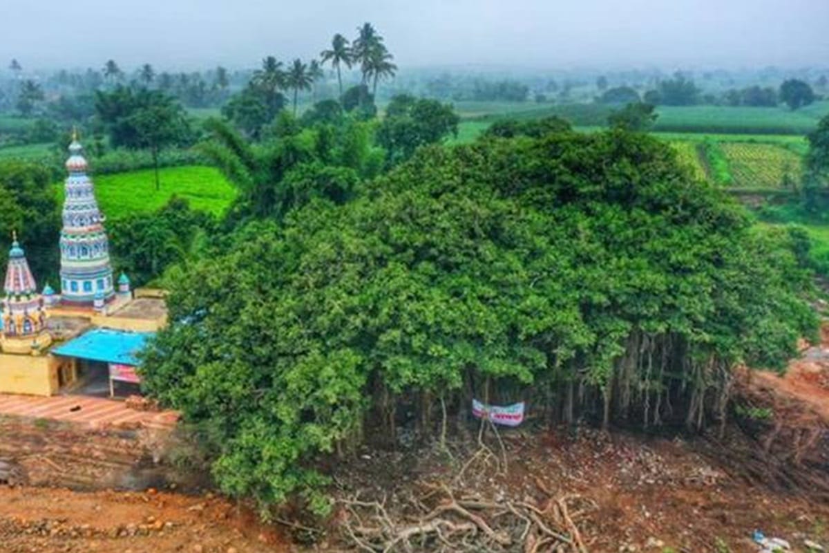 maharashtra villagers campaign save 400 year old banyan tree Aaditya Thackeray writes nitin gadkari highway