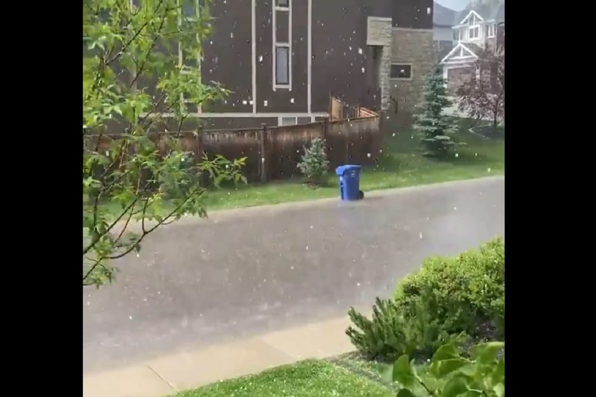 Dustbin floats away in water, video goes viral on social media, Twitter says that blue bin is us