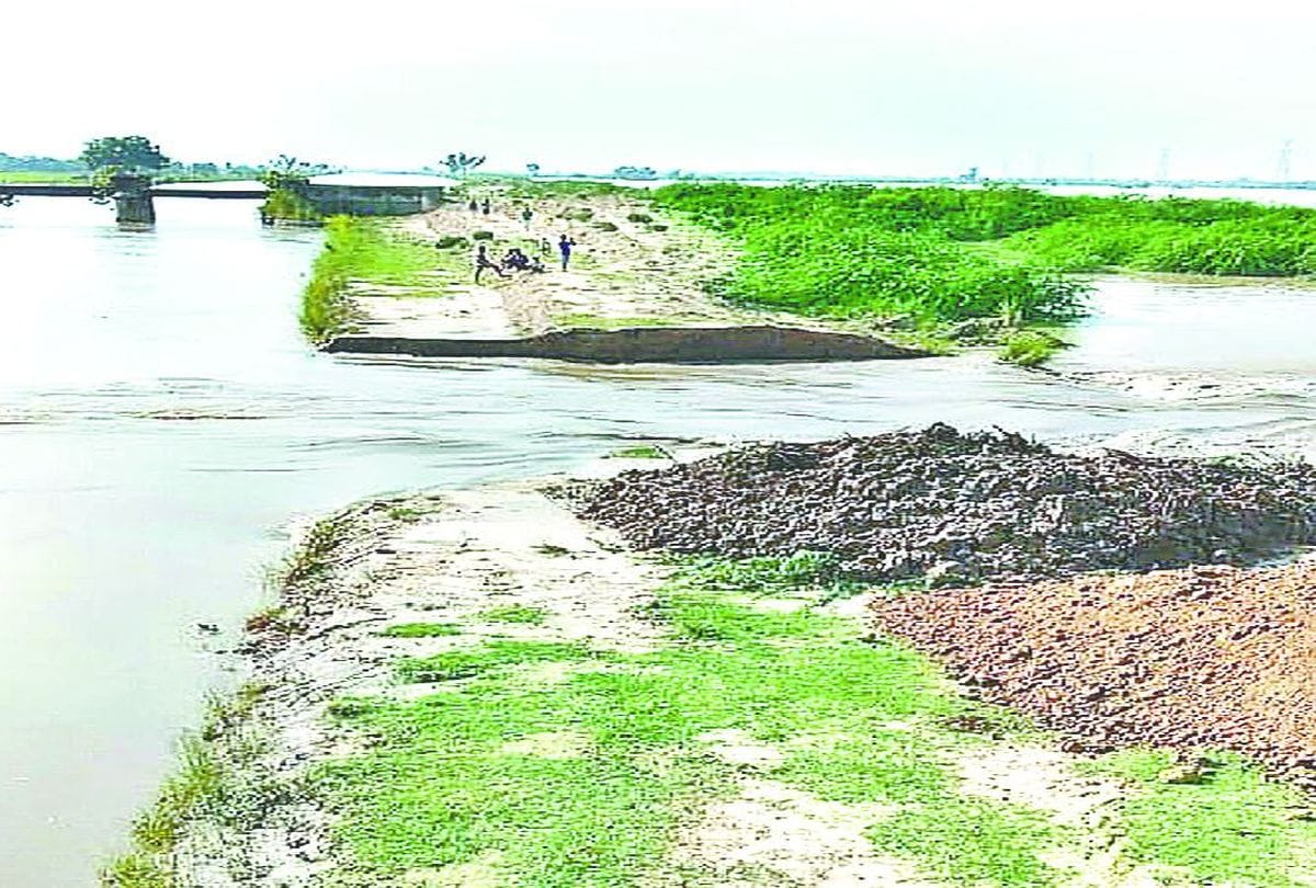 1200 bigha crops submerged due to canal flood in mainpuri