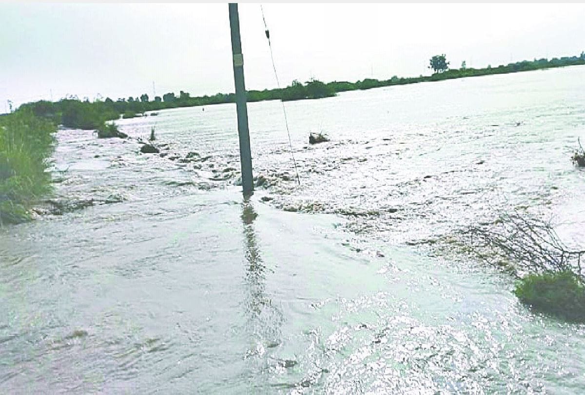 1200 bigha crops submerged due to canal flood in mainpuri