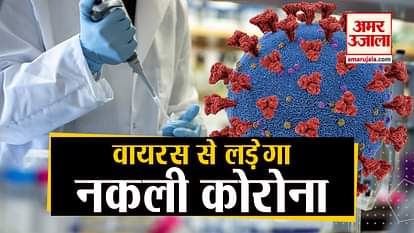 fake coronavirus will cure pandemic