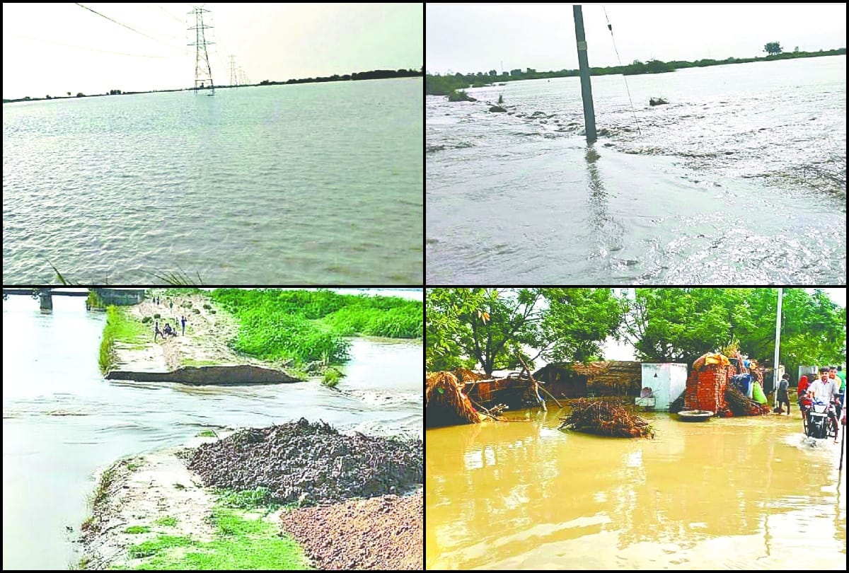 1200 bigha crops submerged due to canal flood in mainpuri