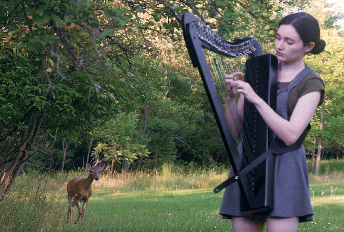 Harp playing session by woman crowded by unusual guest watch full video here