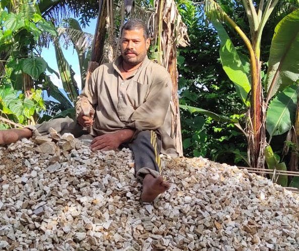 Divyang cricketer survives by breaking Dhami stone