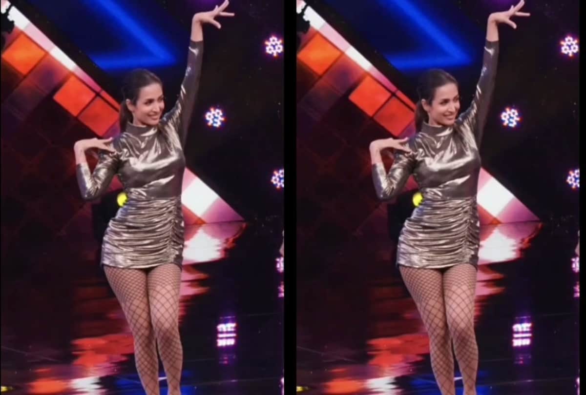 malaika arora wear green layer short dress and compare it to cabbage with funny caption in social media