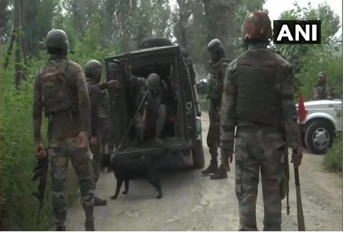 Jammu and Kashmir: Security forces carry out search operation after information about terrorists in Anantnag