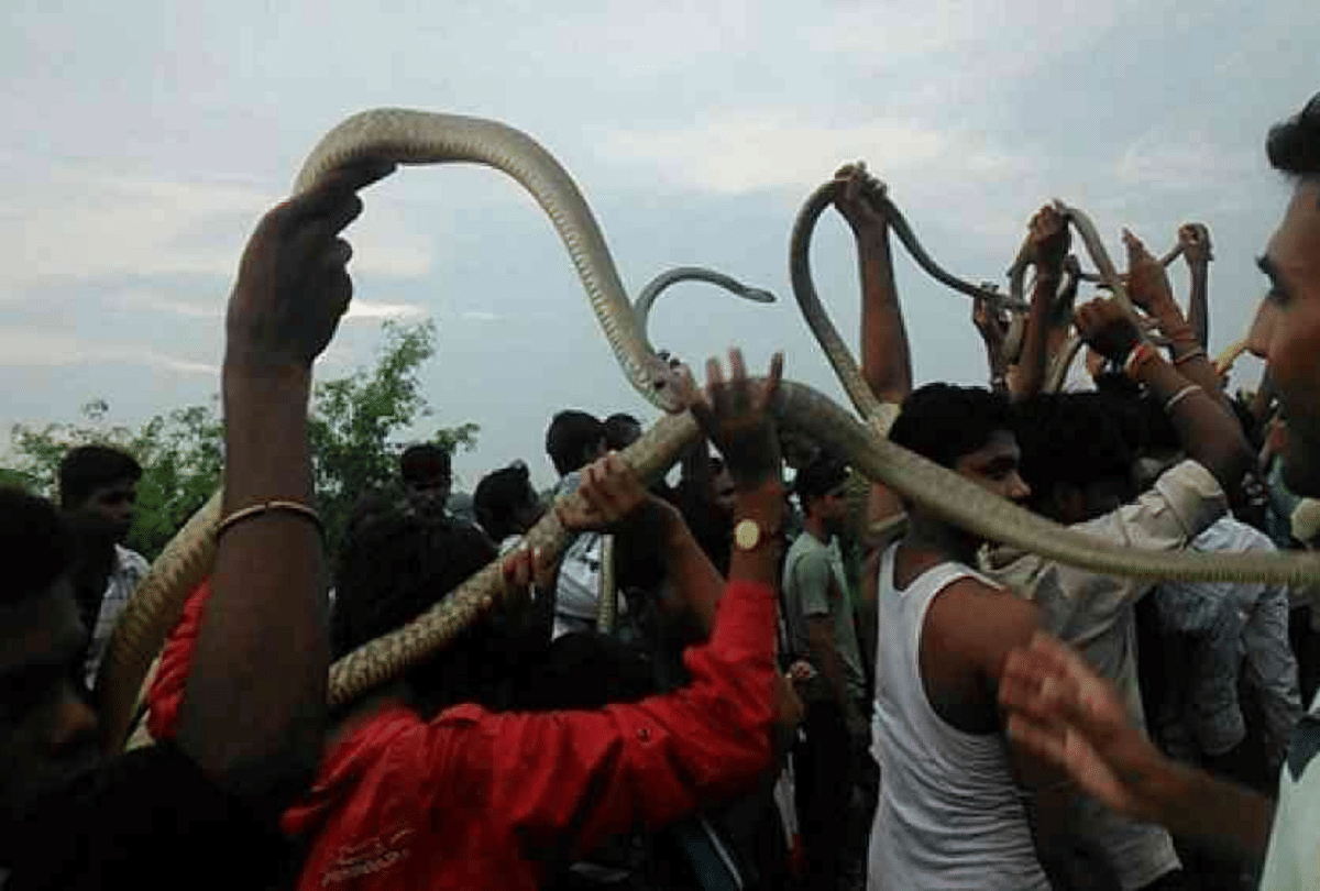 nag panchami 2020 snake fair in bihar samastipur