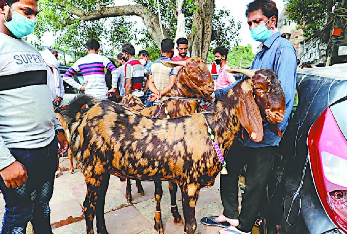 frauds active oin ghazipur baqra mandi