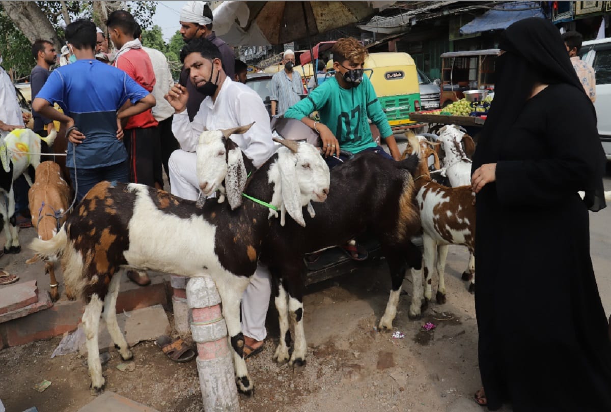 frauds active oin ghazipur baqra mandi