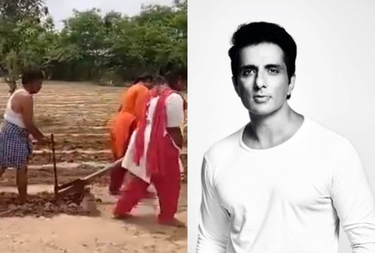 Sonu Sood gave ox to plough the fields after watch farmer daughter ploughing