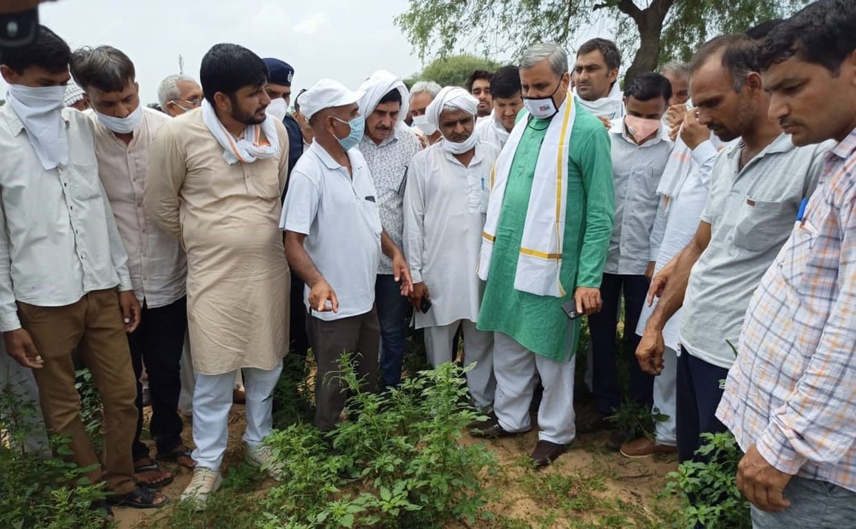 agriculture minister, inspection, field, farmers