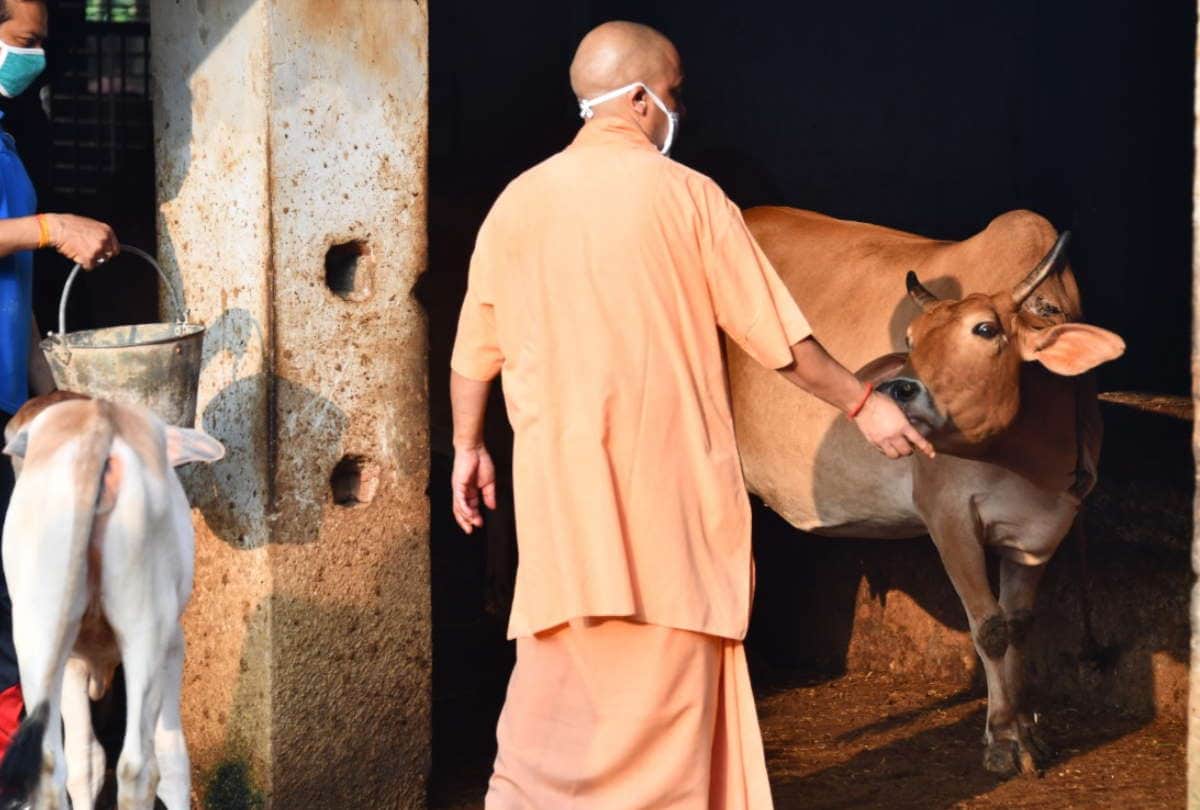 CM yogi adityanath visits gorakhpur for Two days