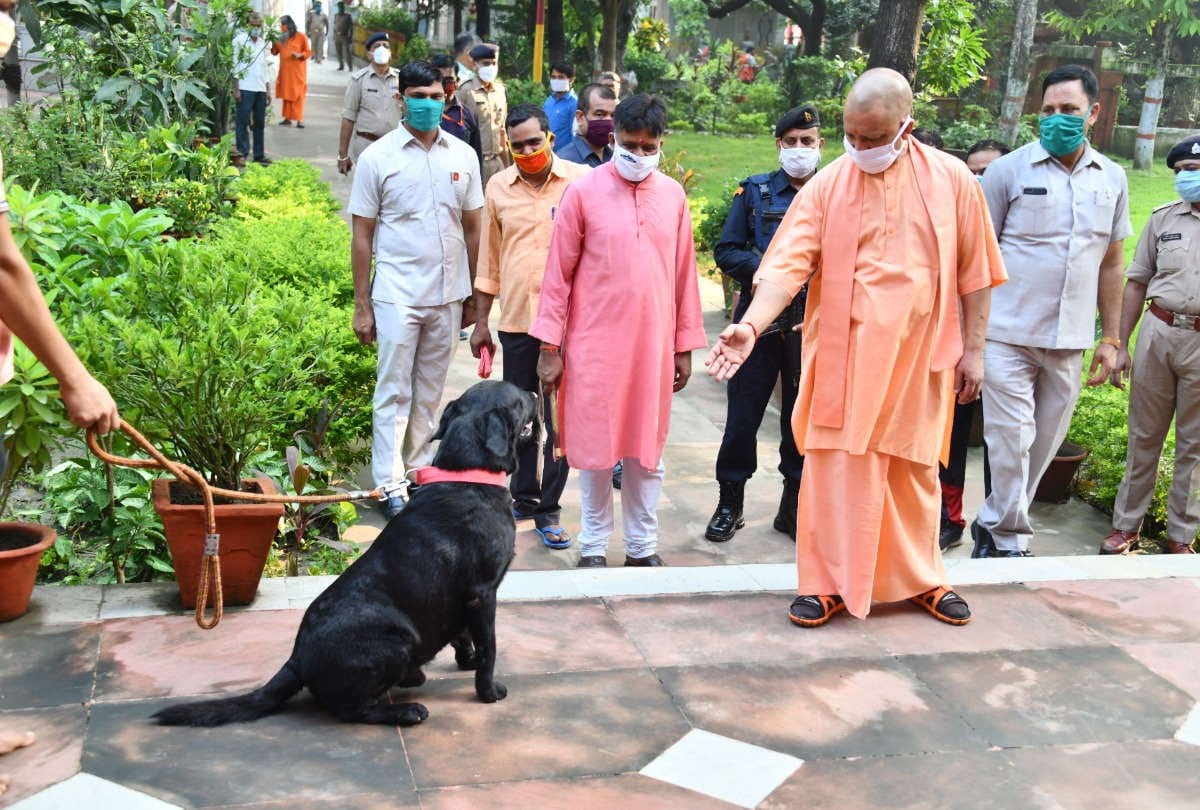CM yogi adityanath visits gorakhpur for Two days