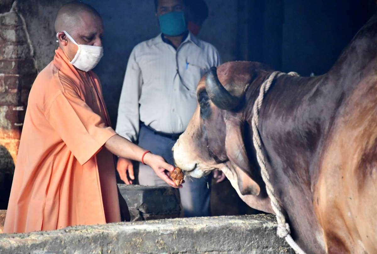 CM yogi adityanath visits gorakhpur for Two days