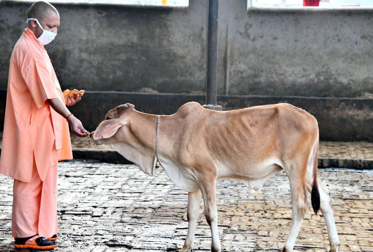 CM yogi adityanath visits gorakhpur for Two days