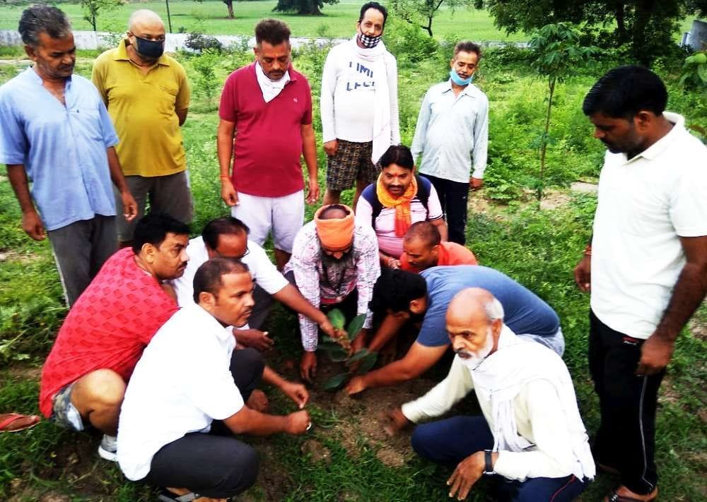 Kargil Day celebrated by planting saplings at the martyr's site in mahoba