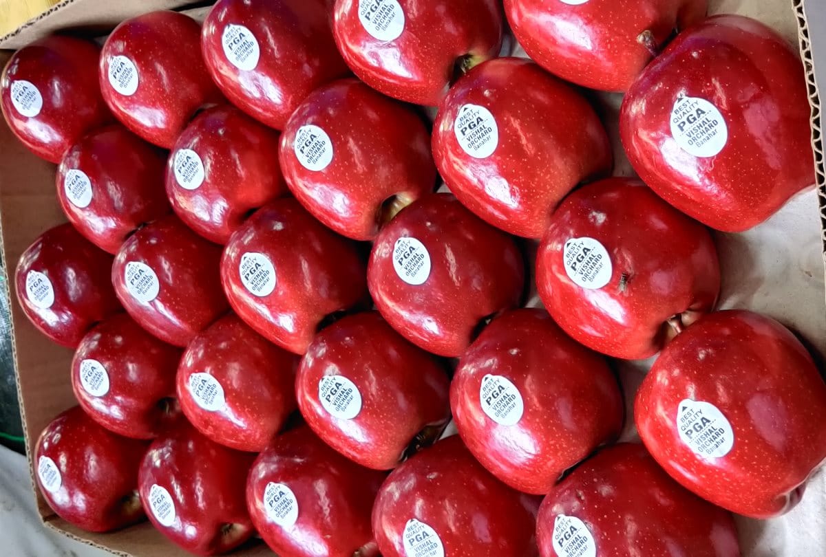 Himachal News: Number of apple auction centers reduced in mandi mediation scheme