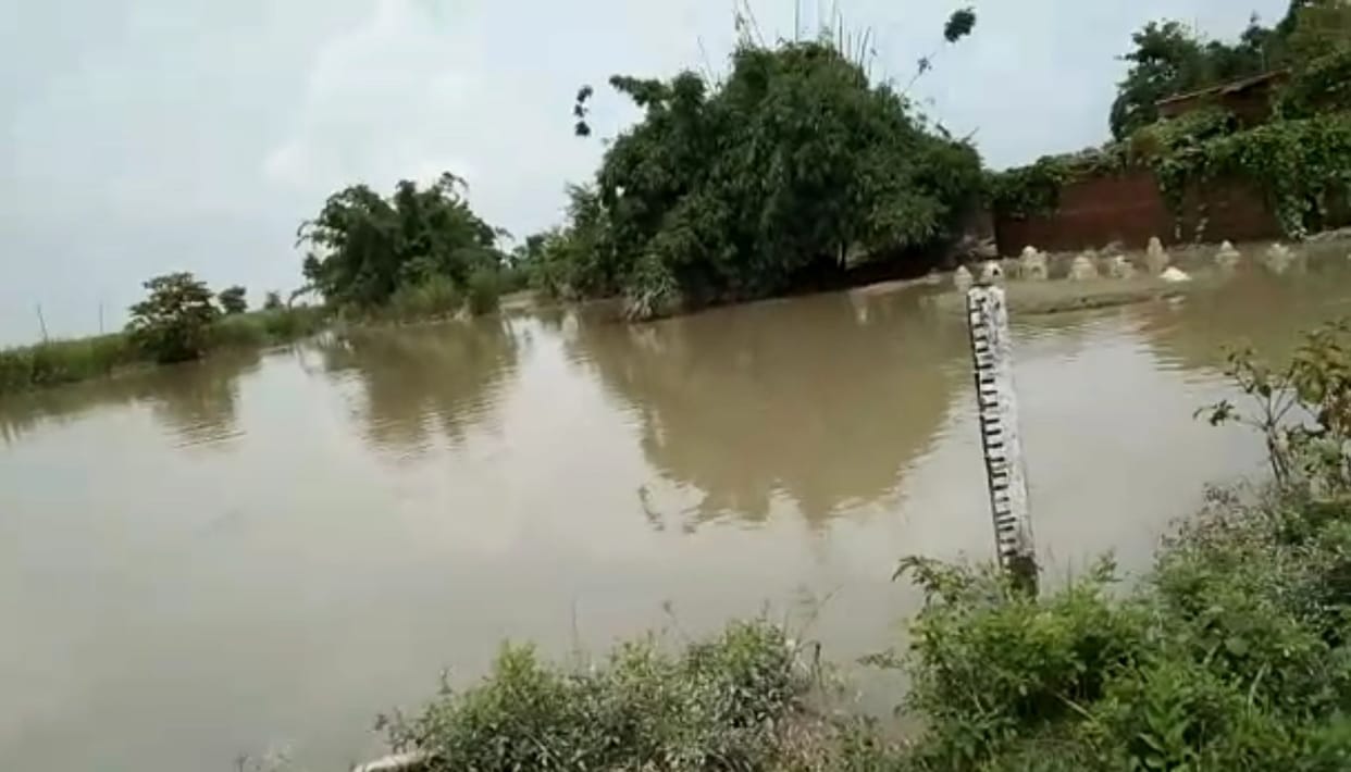 increased water level of gandak river