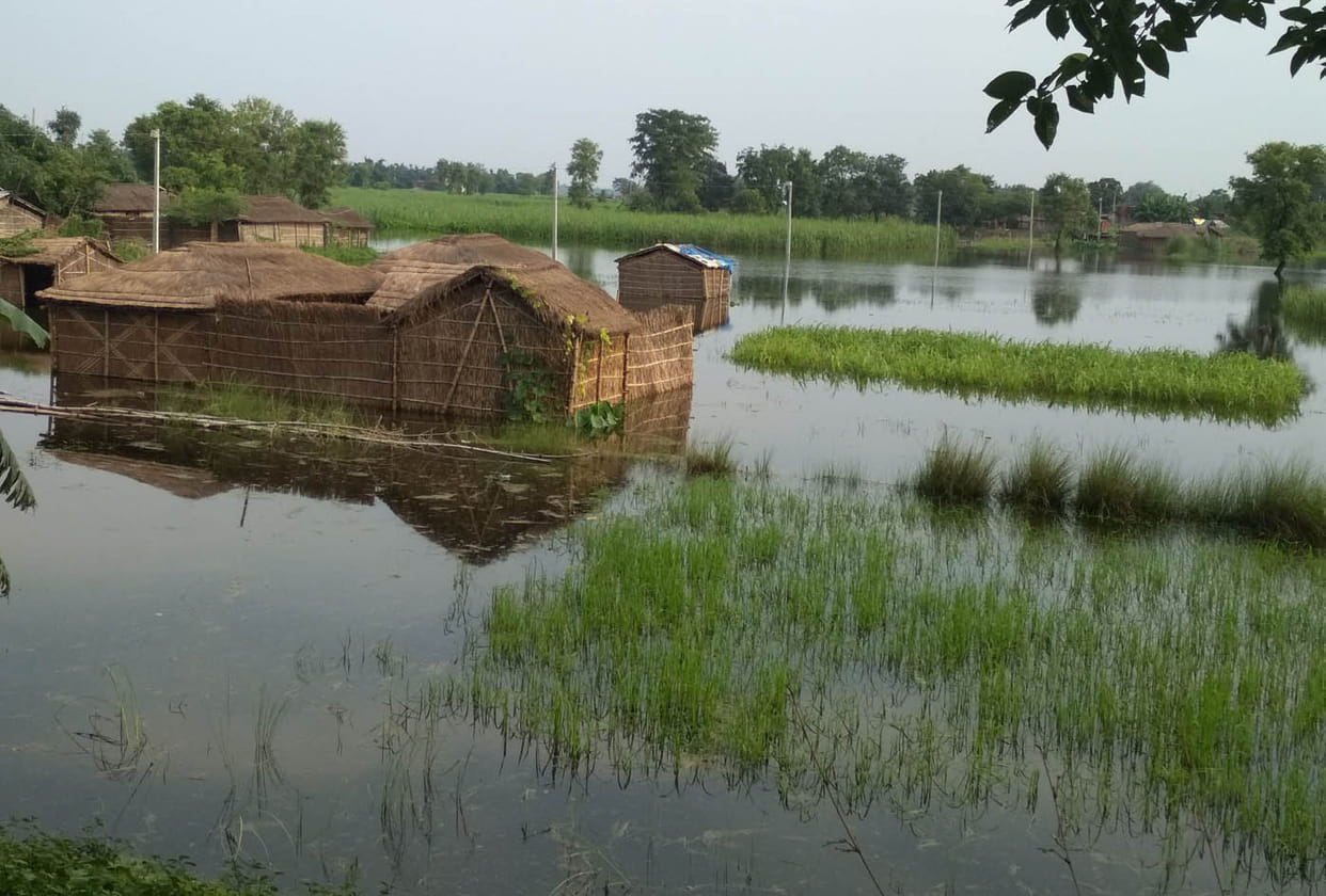 8850 flood victims helpless, no aid given