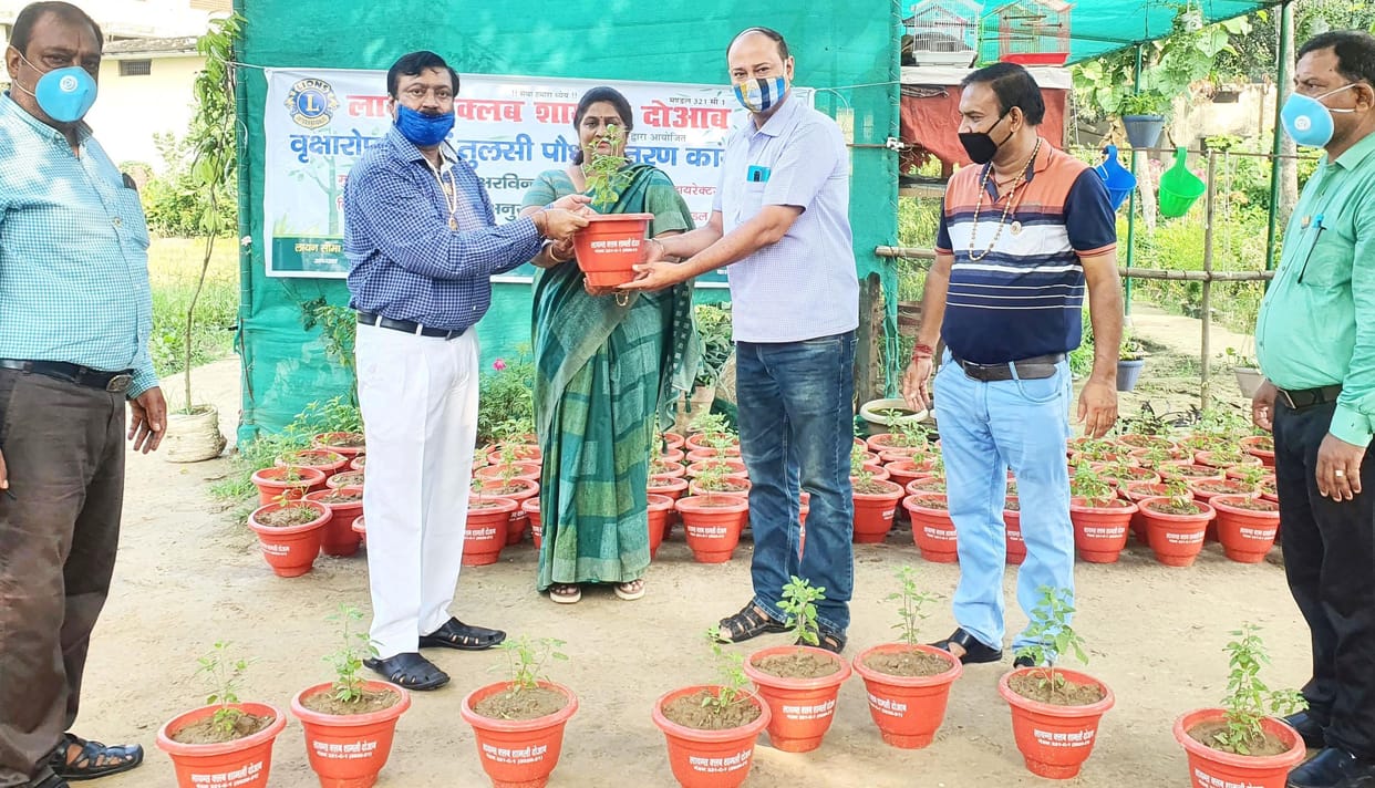 Life medicinal properties in basil