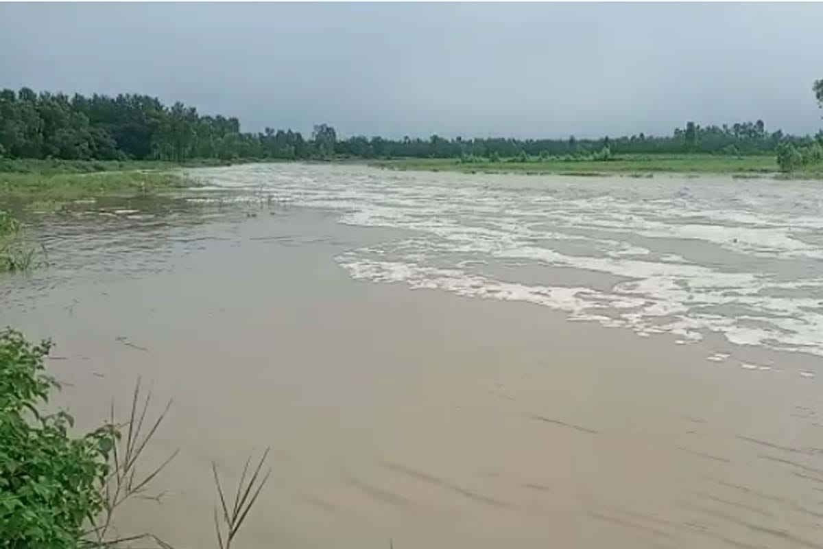 517 villages of 16 districts are flood effected in Uttar Pradesh.