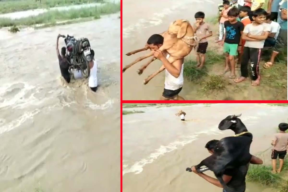 rainy rivers in spate in saharanpur, people seen on the river carrying bikes and goats on their shoulders