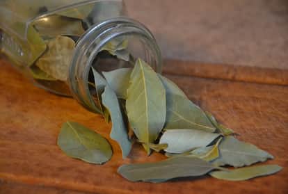 Health benefits of bay leaf tejpatta is good for Diabetes patients