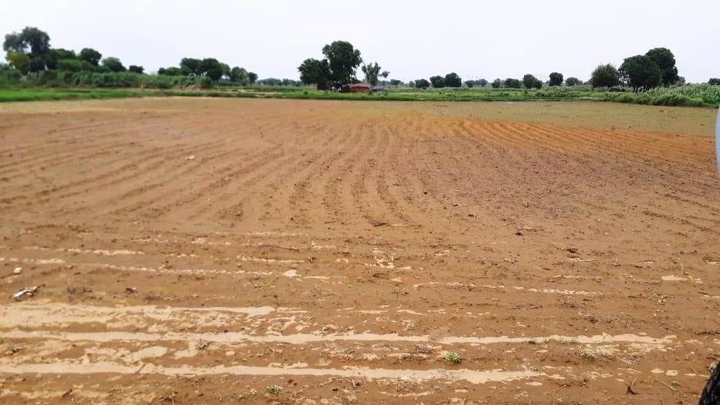 people millet crop of widow women
