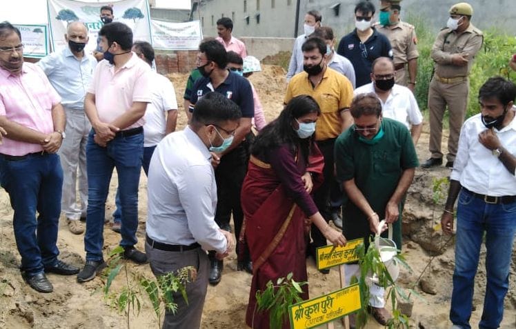 DM and CDO planted saplings