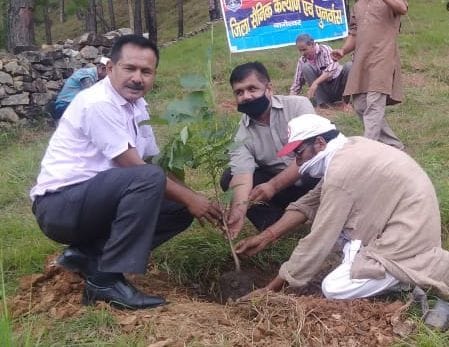 plantation in sirkote and nari