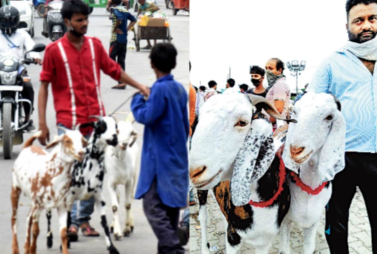 billy goat market in dubagga in lucknow