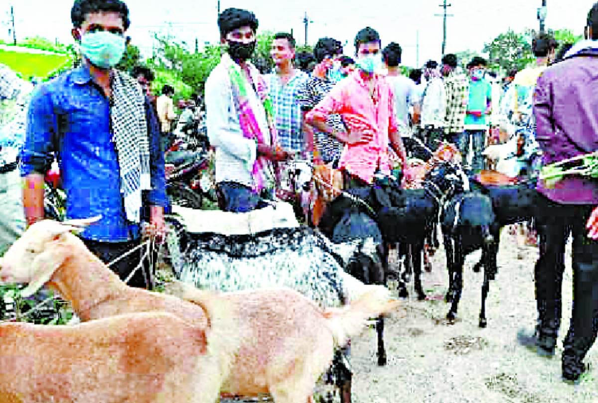billy goat market in dubagga in lucknow