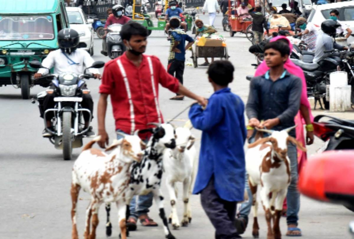 billy goat market in dubagga in lucknow