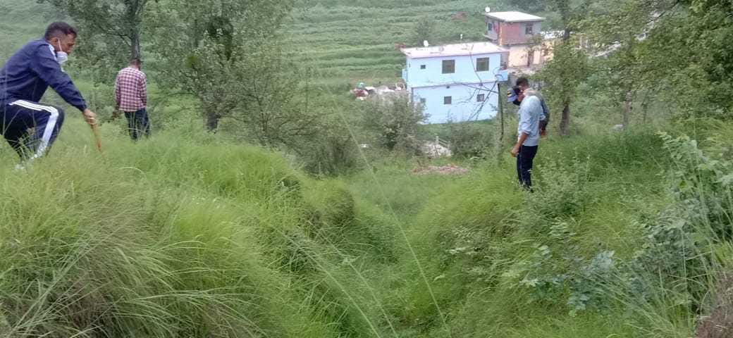 Leopard's call near the city, Jungleat reached the spot empty