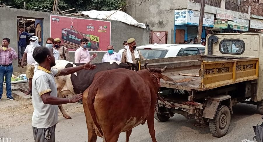Municipality's campaign against dairy
