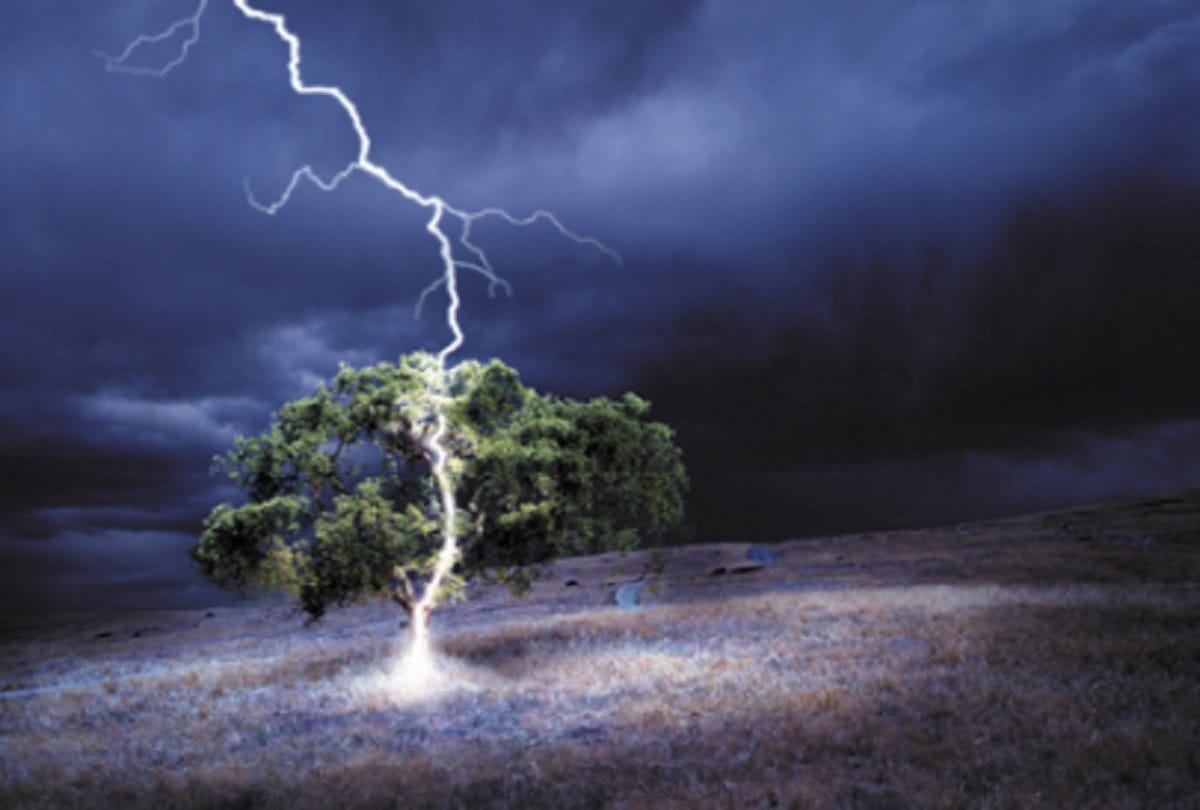 Three persons and 52 goats killed in lightning strikes in three districts of Chhattisgarh