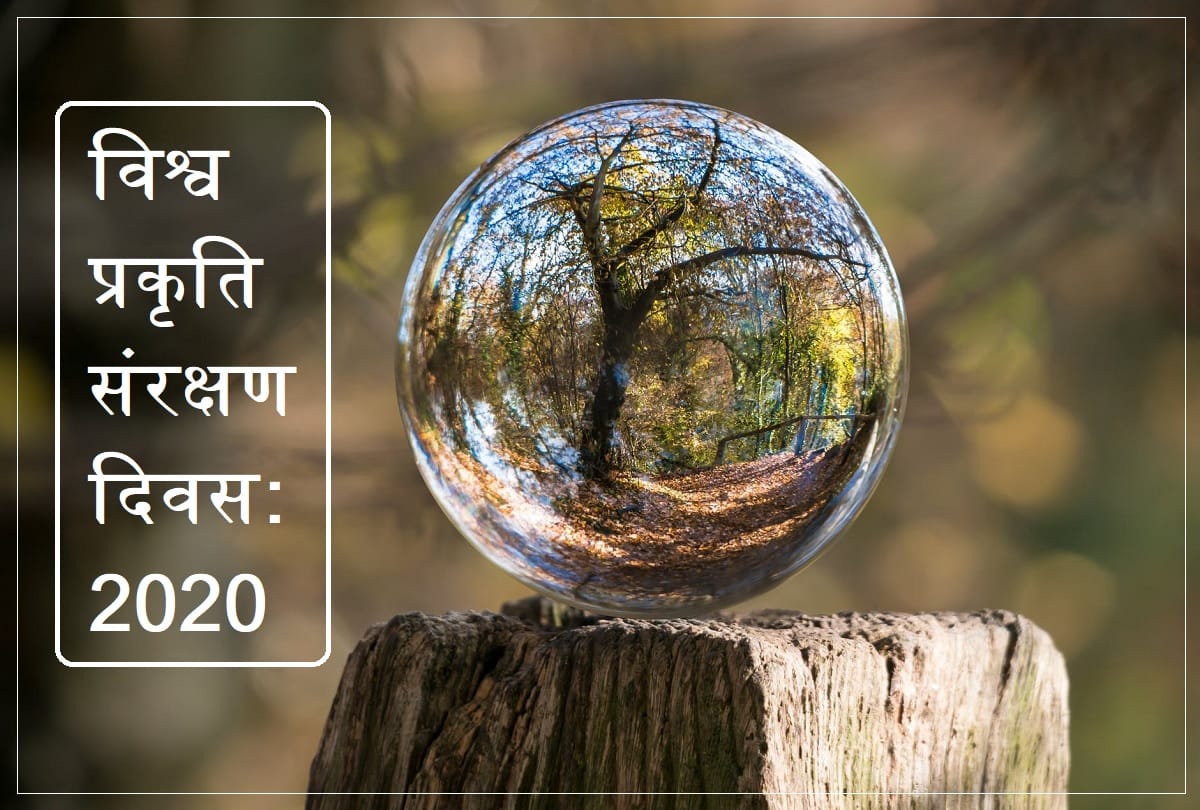 World Nature Conservation Day 2020 News in Hindi: Theme, History, Significance And Importance Of Nature Conservation Day