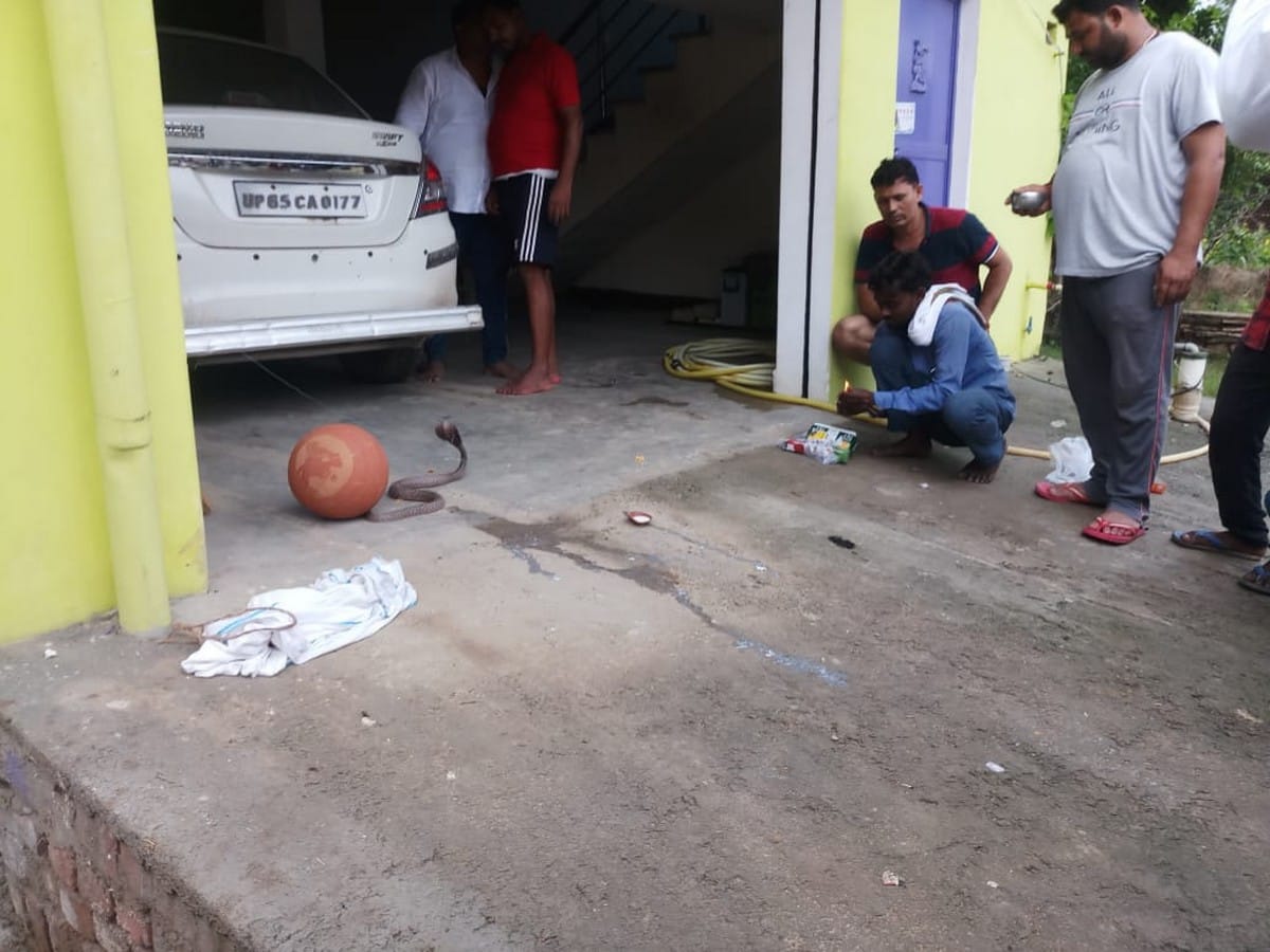Uttar Pradesh Mirzapur poisonous snake entered in pant man standing two hours same position for save life