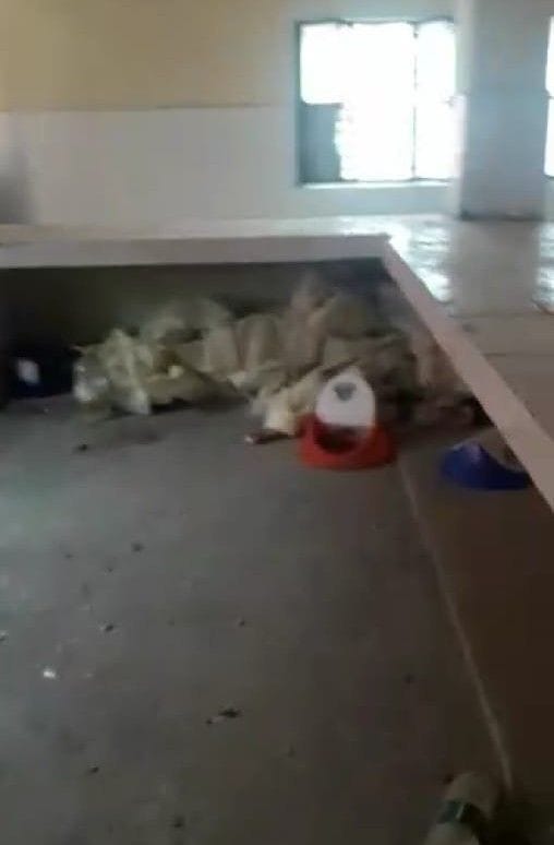Hathras: Video of dislocations in Mursan's Kovid-1 hospital goes viral