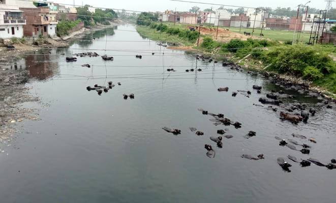The work of repairing Dhamola river remained in the files