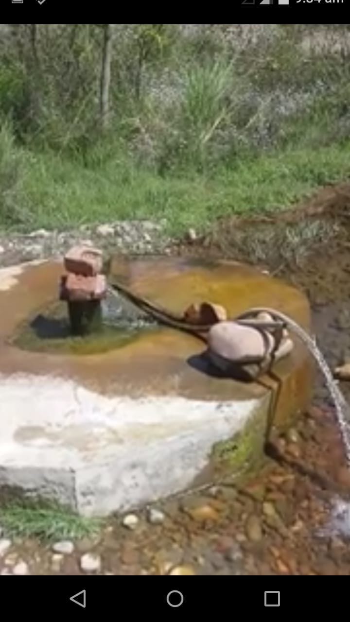 drinking water wasted