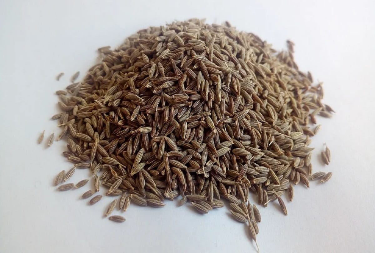 How to identify fake cumin check full process in hindi